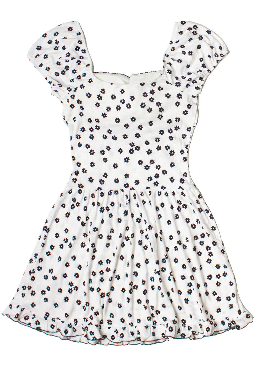 Floral Print Drop Waist Dress